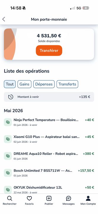 Solde Leboncoin 4 531 euros