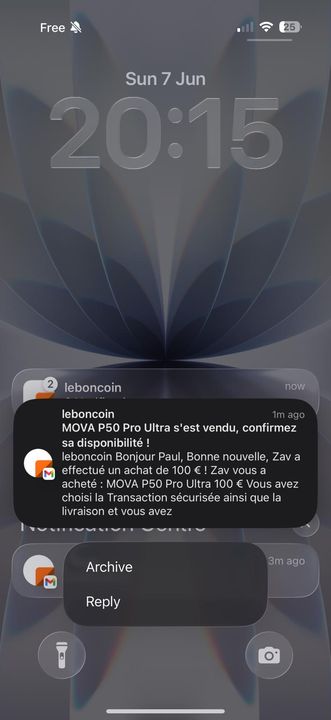 Vente Leboncoin 100 euros